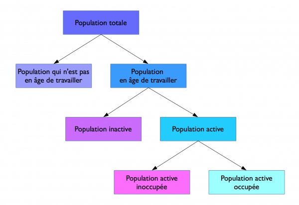 Schéma montrant le passage de la population totale à la population active occupée